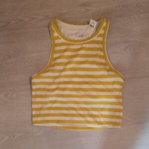 Lime and White Striped Crop Top Aerie Offline